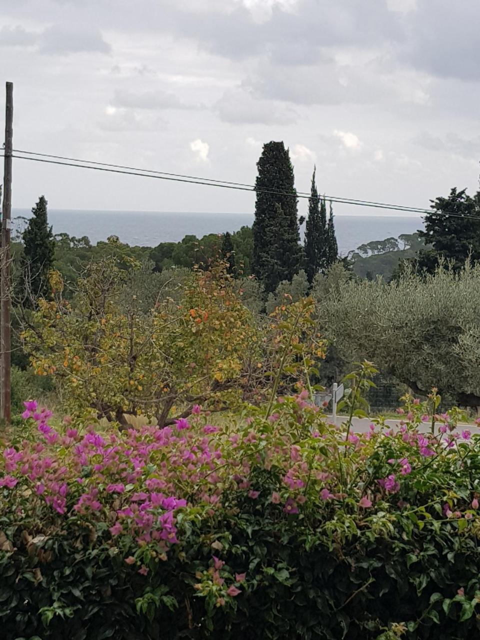 Hostal Ondina Begur Exterior photo